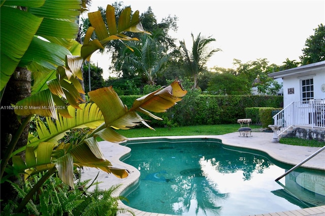 view of pool with a patio