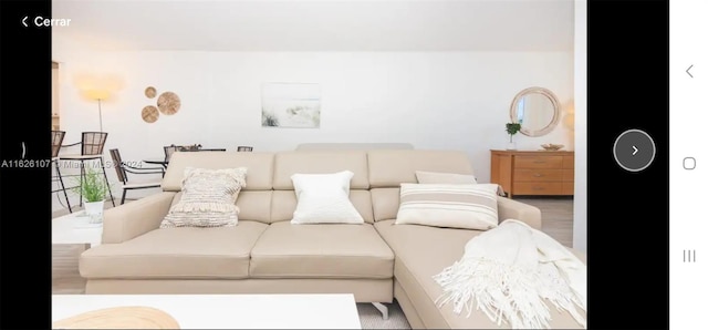 living room featuring hardwood / wood-style floors