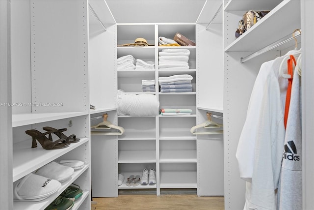 spacious closet featuring light hardwood / wood-style floors