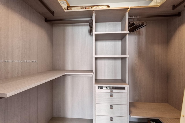 480 NE 31st St Unit 1005, Miami, FL 33137 - view of walk in closet