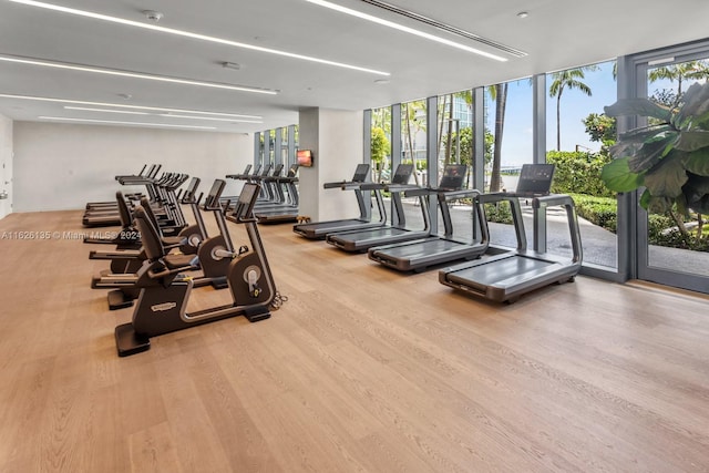 workout area featuring light hardwood / wood-style flooring and expansive windows