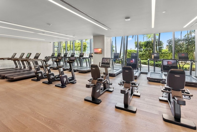 480 NE 31st St Unit 1005, Miami, FL 33137 - exercise room featuring a wall of windows, healthy amount of natural light, and wood finished floors