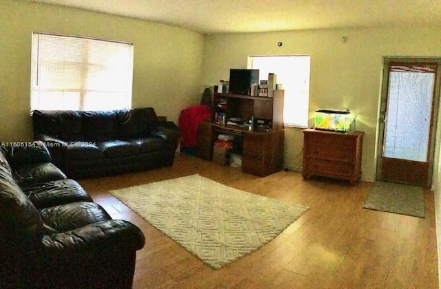 living room featuring hardwood / wood-style flooring