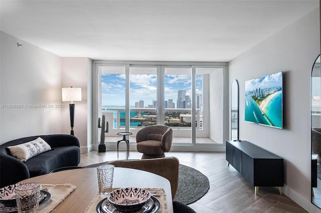 living room with light hardwood / wood-style floors, expansive windows, and a wealth of natural light