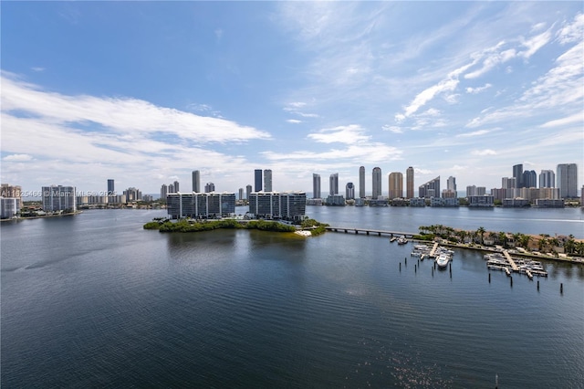 water view with a view of city