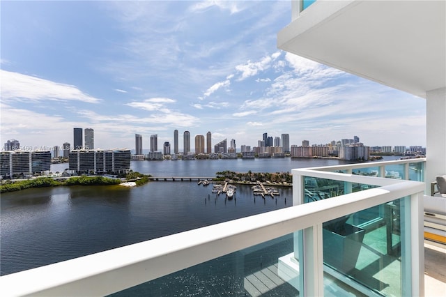 view of water feature with a city view