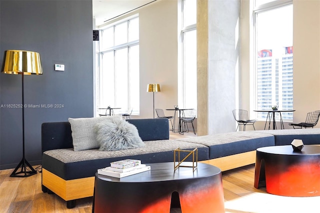 living room featuring a towering ceiling, wood-type flooring, and a healthy amount of sunlight