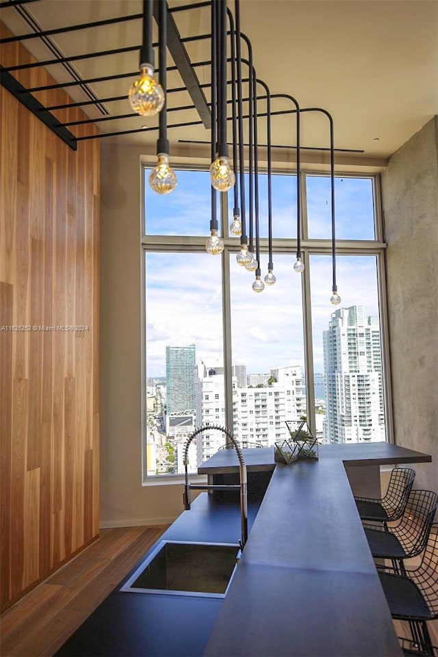 kitchen featuring sink, a wealth of natural light, and wood-type flooring