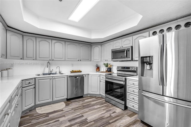 kitchen with gray cabinets, wood-type flooring, appliances with stainless steel finishes, and a tray ceiling