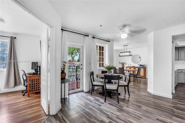 dining room featuring ceiling fan and hardwood / wood-style flooring