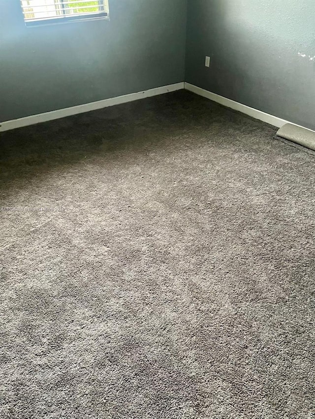 spare room with carpet flooring