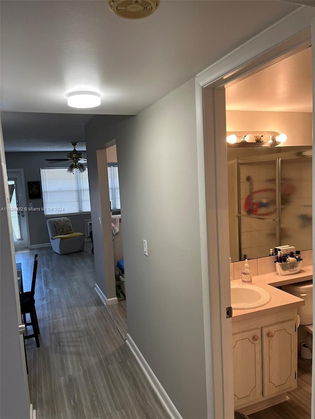 hall featuring sink, a wealth of natural light, and dark hardwood / wood-style floors