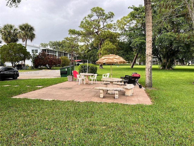 view of yard featuring a patio area