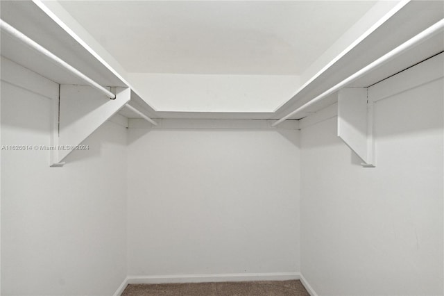 walk in closet featuring carpet flooring