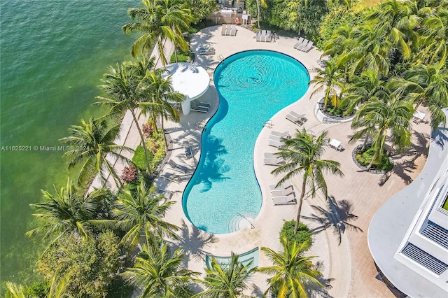 view of swimming pool with a patio