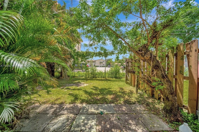 view of yard with a patio area