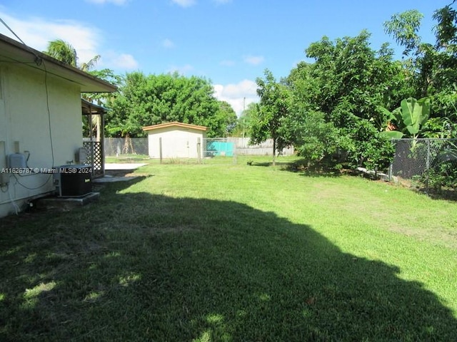 view of yard featuring a storage shed