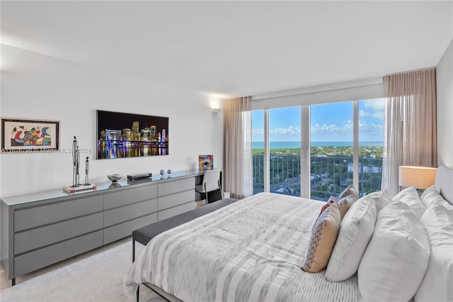 bedroom featuring bar