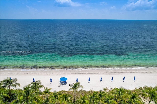 property view of water featuring a view of the beach