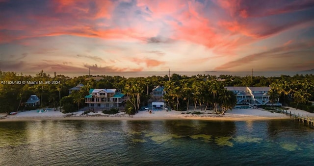 property view of water with a beach view