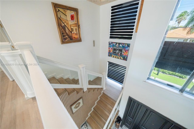 stairs with light hardwood / wood-style floors and a healthy amount of sunlight