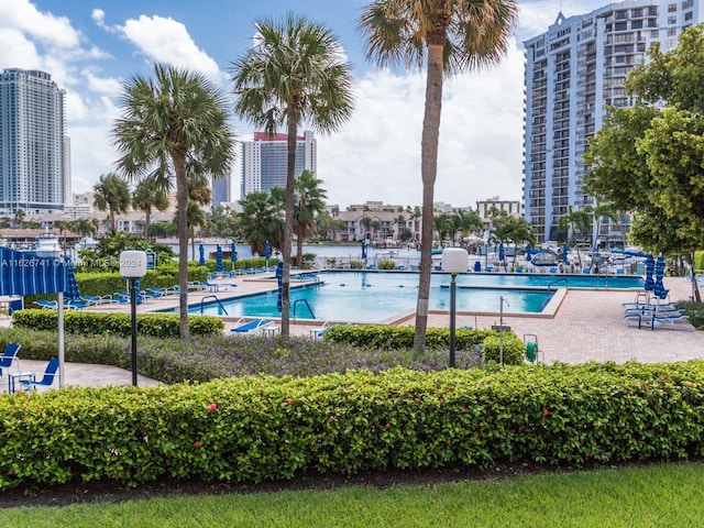 view of swimming pool featuring a patio area