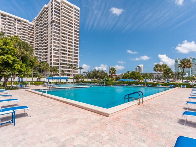 view of pool featuring a patio area