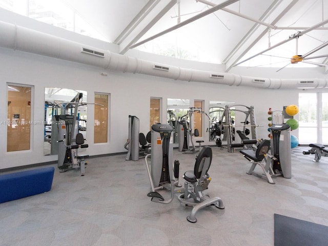 exercise room featuring high vaulted ceiling