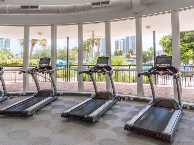 exercise room with carpet flooring