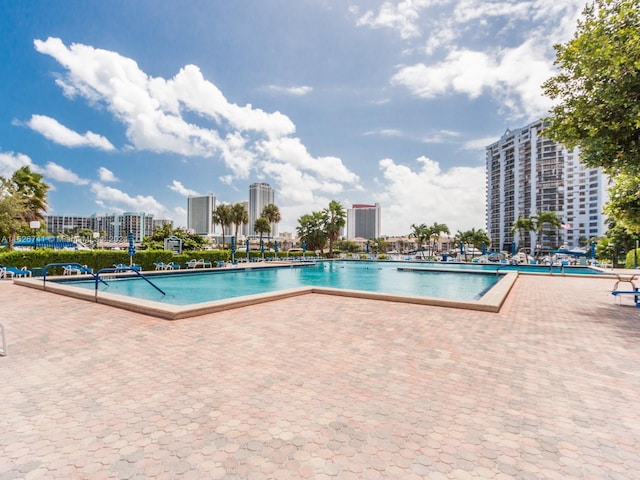 view of swimming pool with a patio