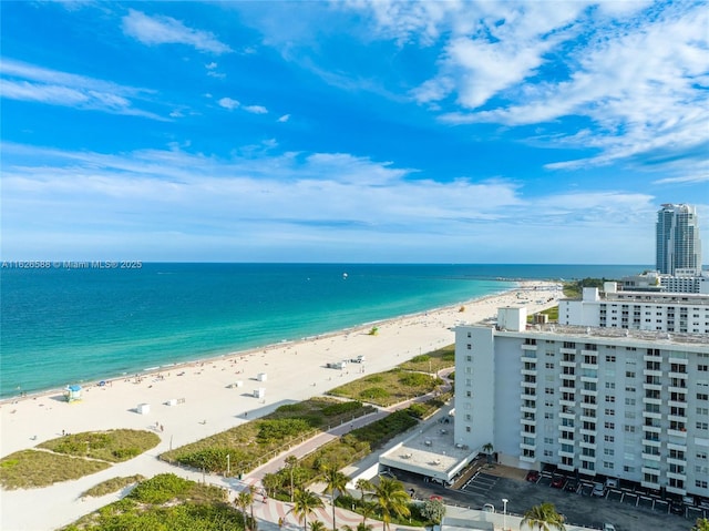 water view featuring a beach view