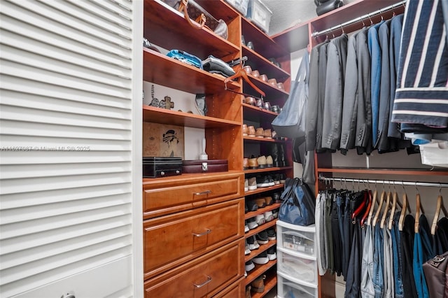 view of walk in closet