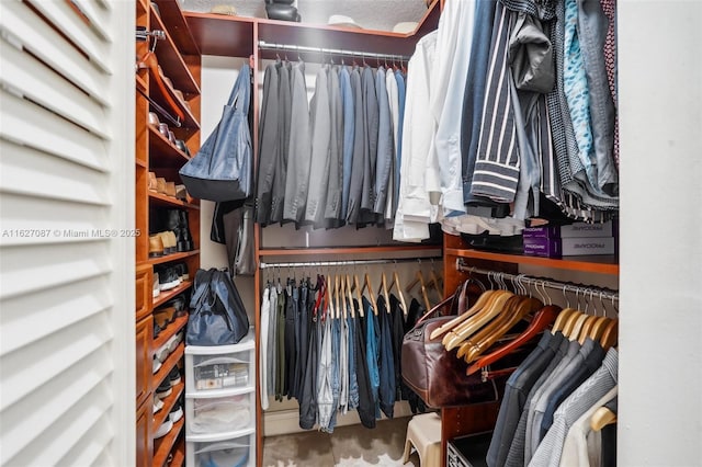 view of walk in closet