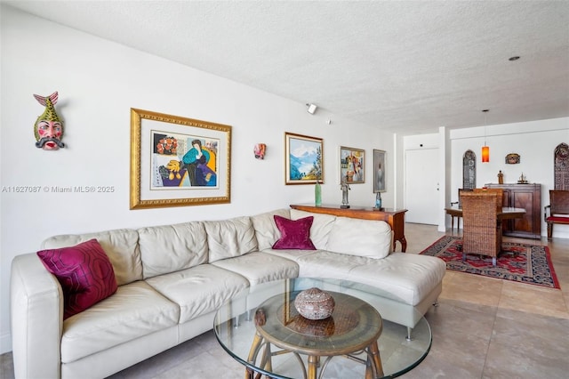 living room featuring a textured ceiling
