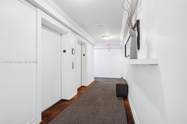 hallway with crown molding and elevator