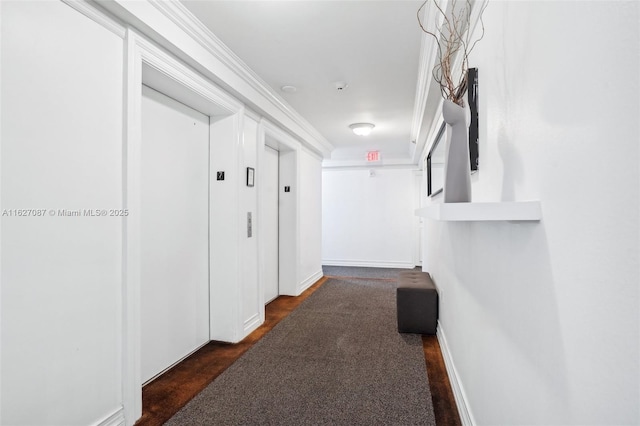 hall featuring crown molding, baseboards, and elevator