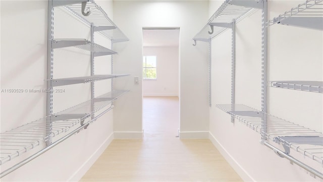 walk in closet featuring light hardwood / wood-style floors