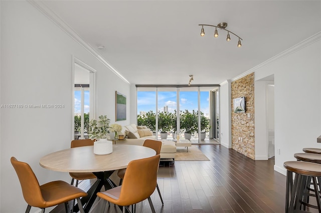 dining space featuring dark hardwood / wood-style flooring, expansive windows, and crown molding