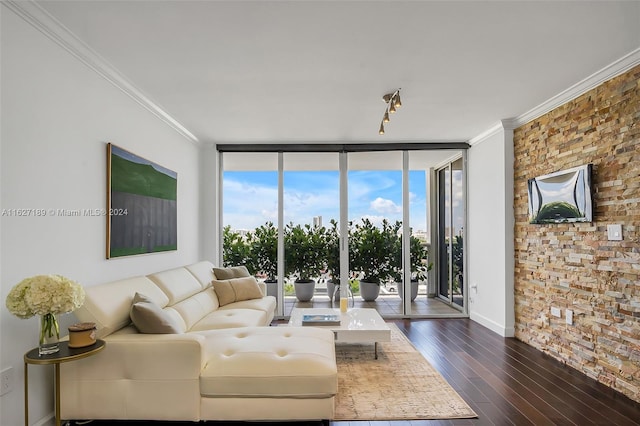 living room featuring floor to ceiling windows, plenty of natural light, and dark hardwood / wood-style flooring