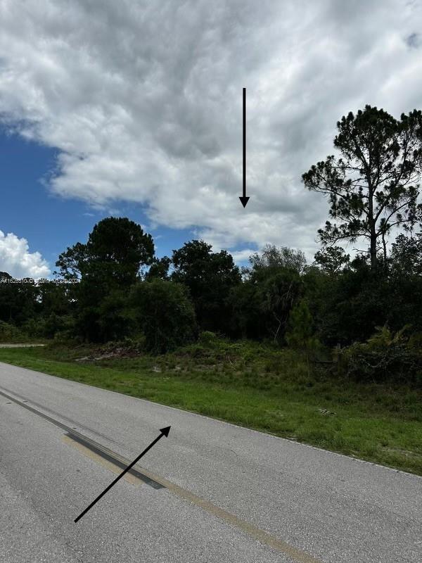 685 N Cabbage Palm St, Clewiston, FL 33430 - photo 4