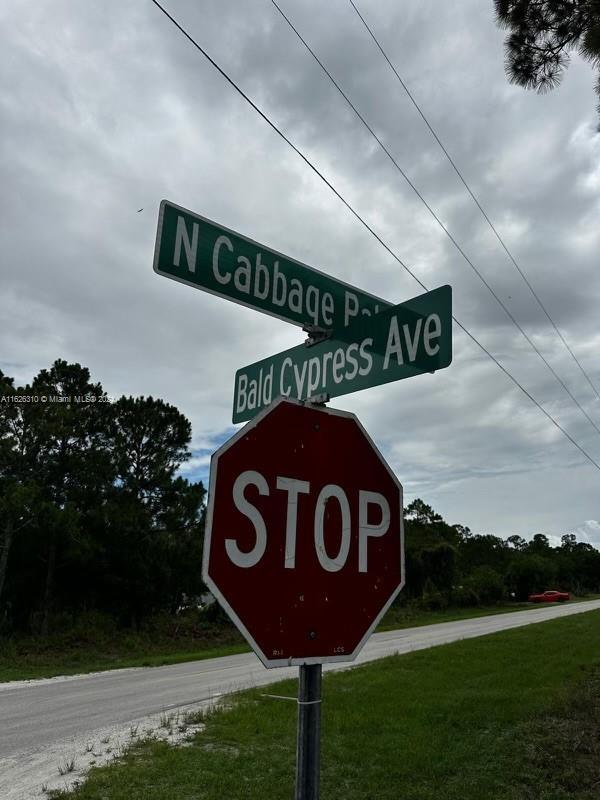 685 N Cabbage Palm St, Clewiston, FL 33430 - photo 5