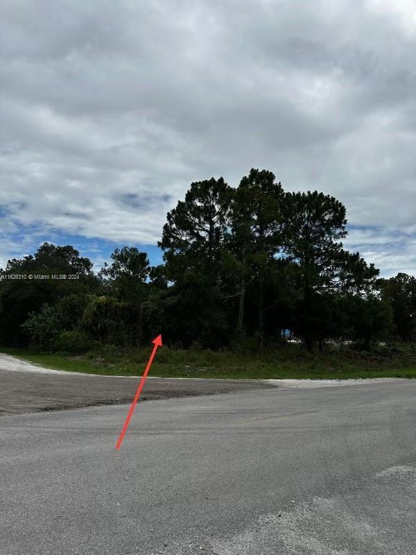 685 N Cabbage Palm St, Clewiston, FL 33430 - photo 9