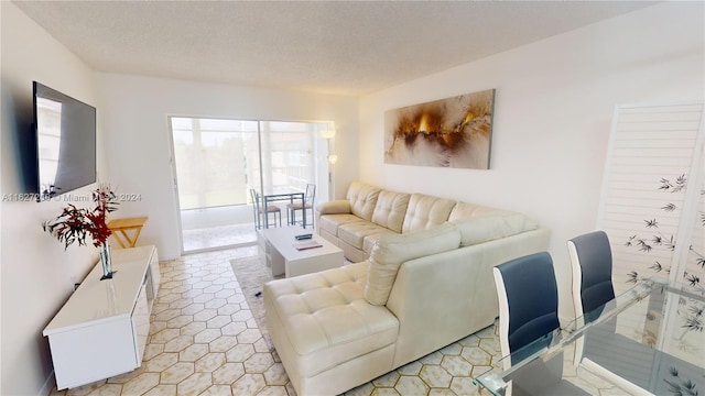 living room featuring a textured ceiling