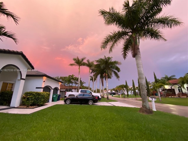 view of yard at dusk