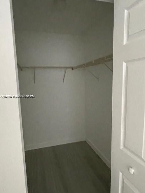 spacious closet with dark hardwood / wood-style floors