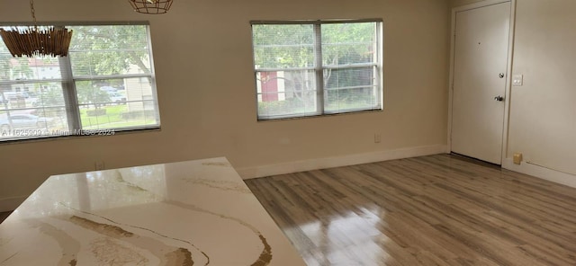 interior space with a closet, a notable chandelier, multiple windows, and hardwood / wood-style floors