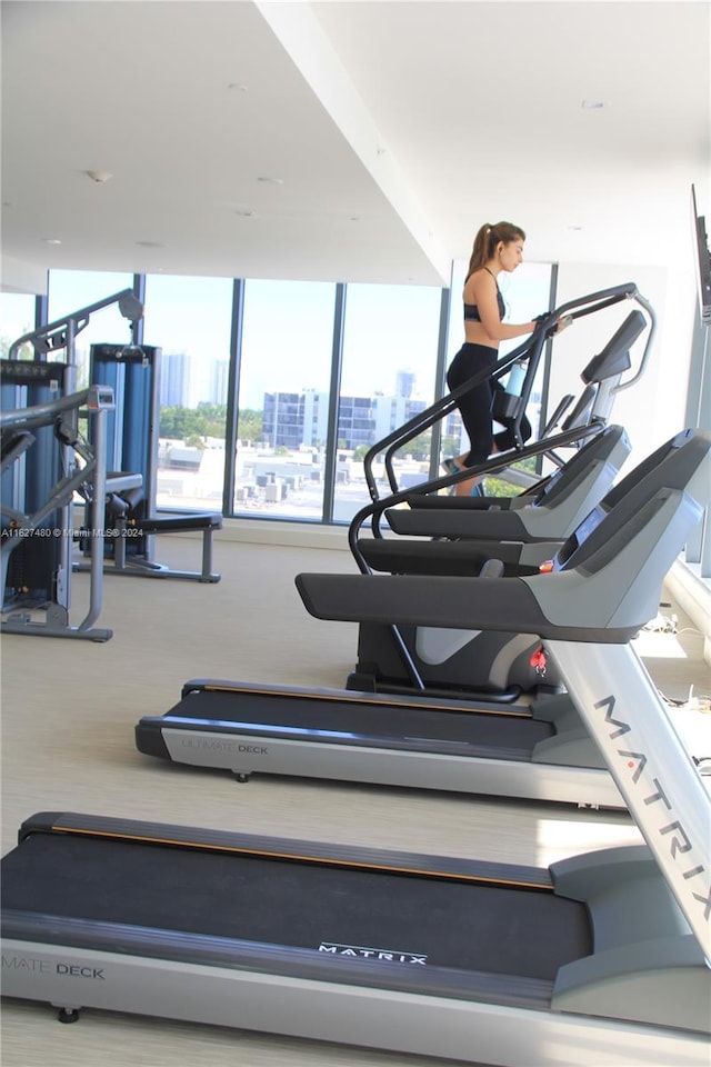 workout area featuring carpet