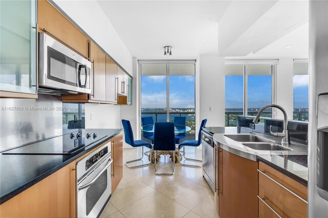 kitchen with stainless steel appliances, a healthy amount of sunlight, sink, and a wall of windows