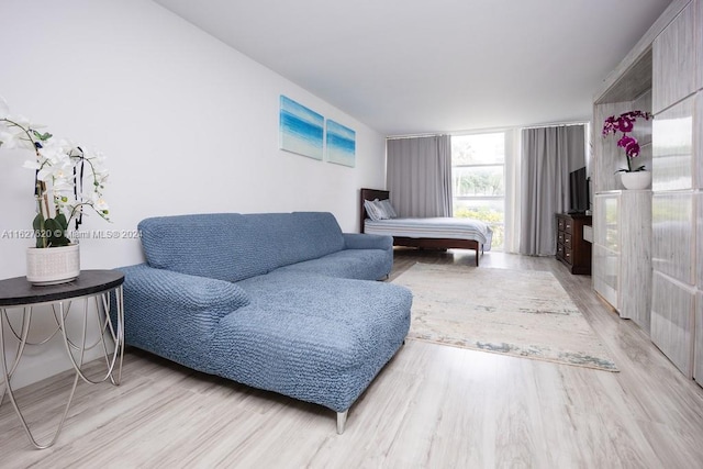 living room with light wood-type flooring