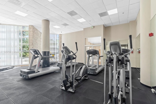 exercise room featuring a wall of windows and a paneled ceiling